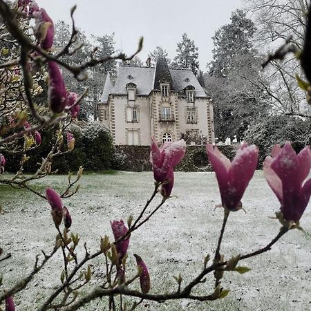 Bed and Breakfast Chateau Maleplane Saint-Léonard-de-Noblat Exterior foto