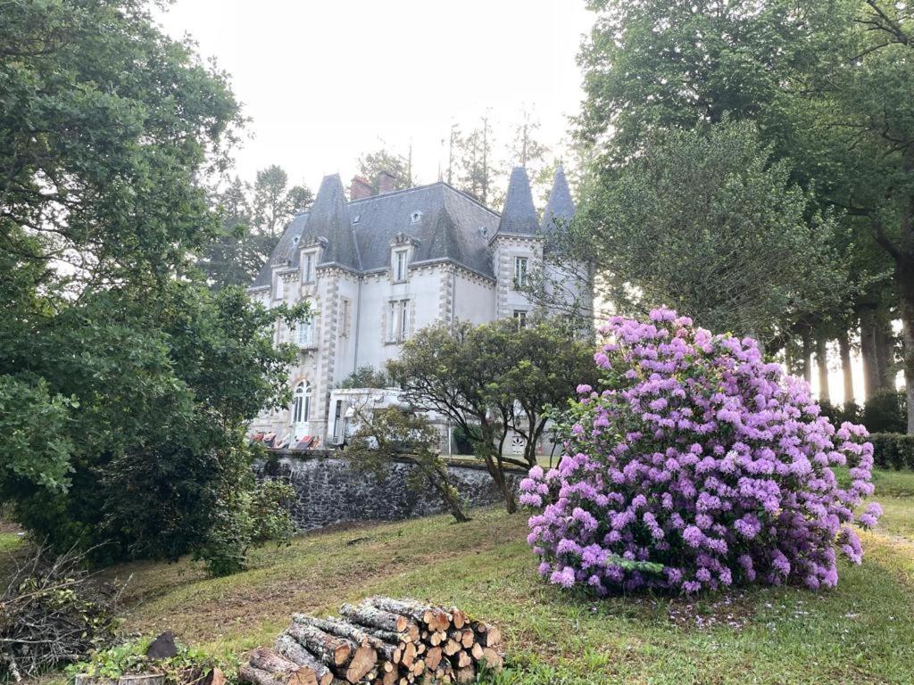 Bed and Breakfast Chateau Maleplane Saint-Léonard-de-Noblat Exterior foto