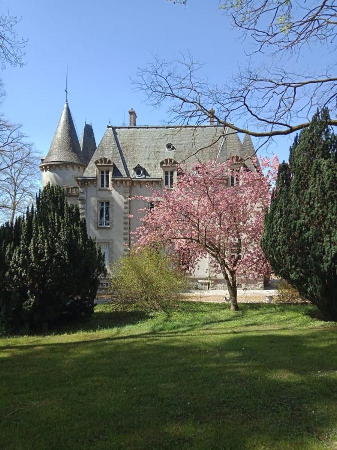Bed and Breakfast Chateau Maleplane Saint-Léonard-de-Noblat Exterior foto