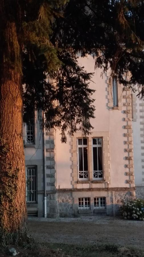 Bed and Breakfast Chateau Maleplane Saint-Léonard-de-Noblat Exterior foto