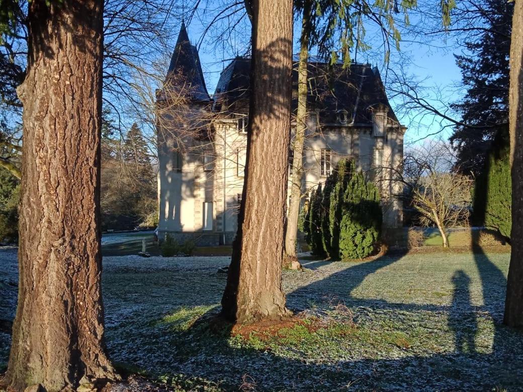 Bed and Breakfast Chateau Maleplane Saint-Léonard-de-Noblat Exterior foto